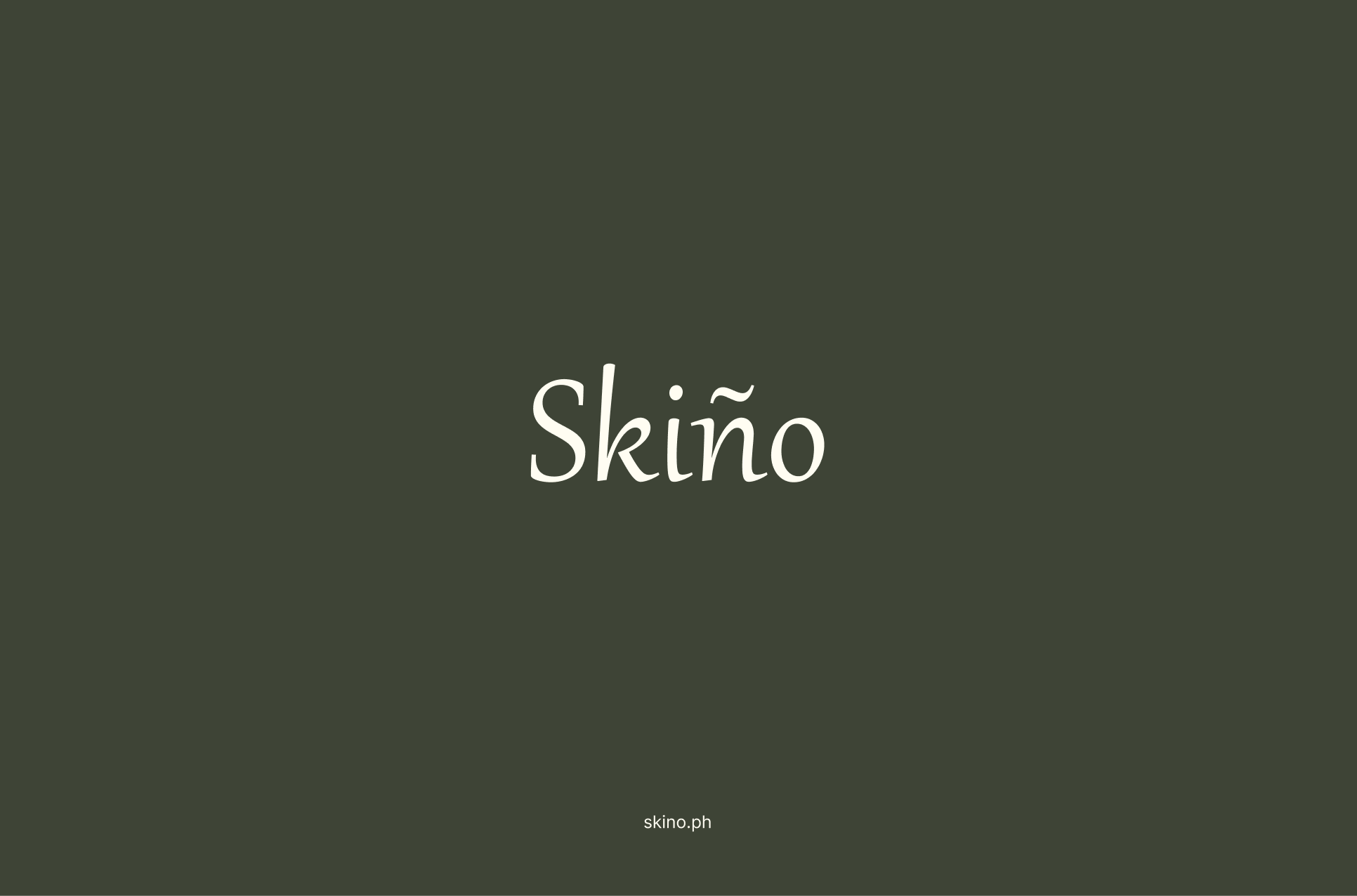 Skiño brand book page 1